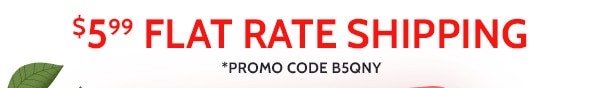 $5.99 Flat Rate Shipping Promo Code B5QNY