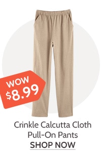 Crinkle Calcutta Cloth Pull On Pants - Shop Now