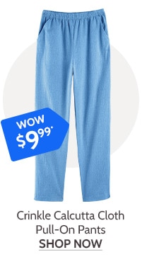 Crinkle Calcutta Cloth Pull-On Pants - Shop Now