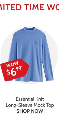 Essential Knit Long Sleeve Mock Top - Shop Now