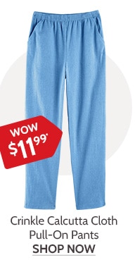 Crinkle Calcutta Cloth Pull on Pants - Shop Now